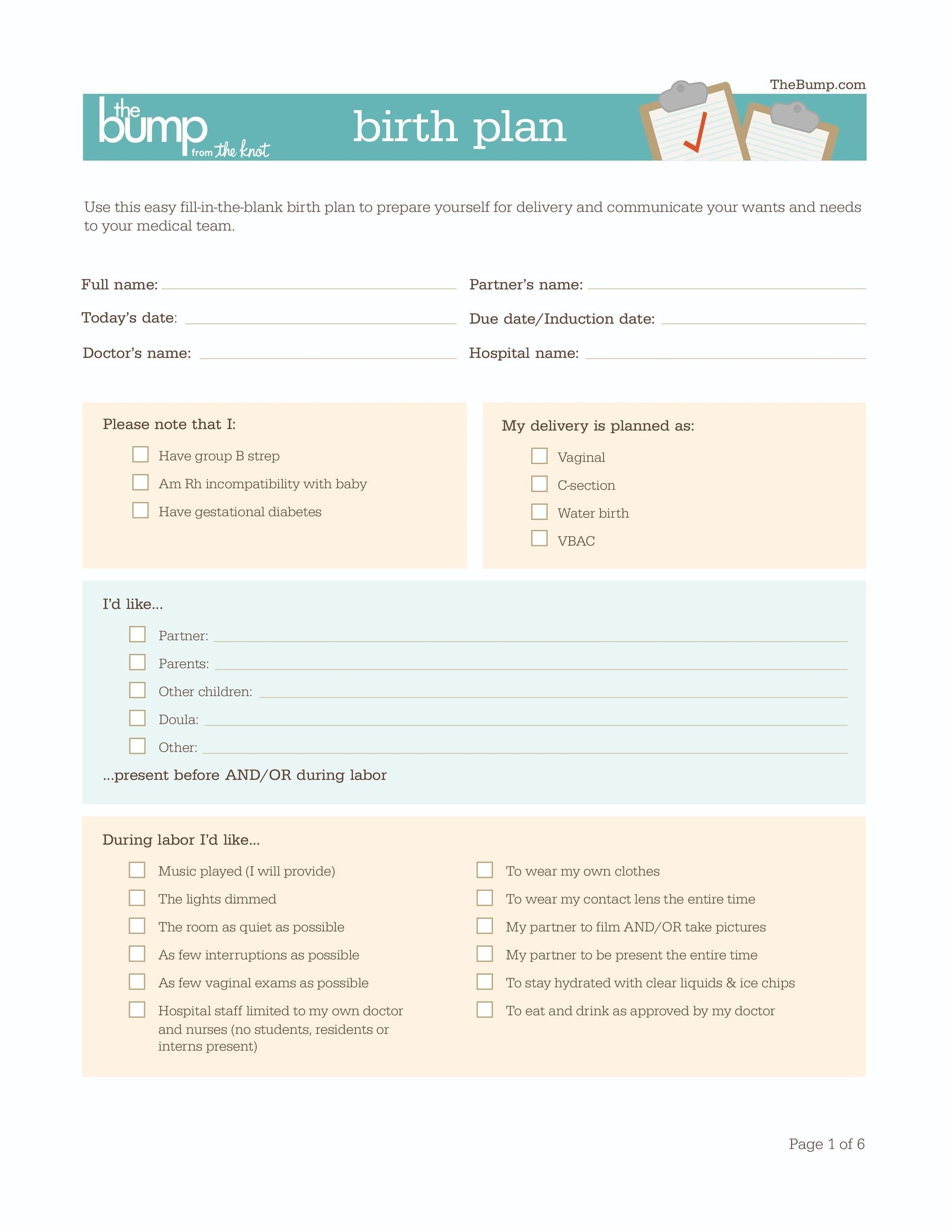 47+ Printable Birth Plan Templates [Birth Plan Checklist] ᐅ with regard to Birth Plan Template Printable
