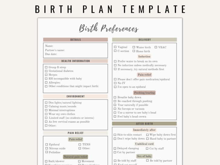 Birth Plan Template Printable