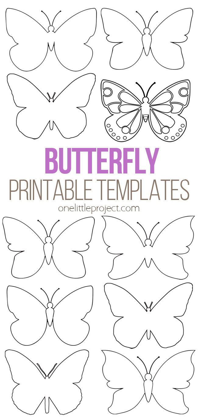 Butterfly Template with regard to Printable Different Size Butterfly Templates