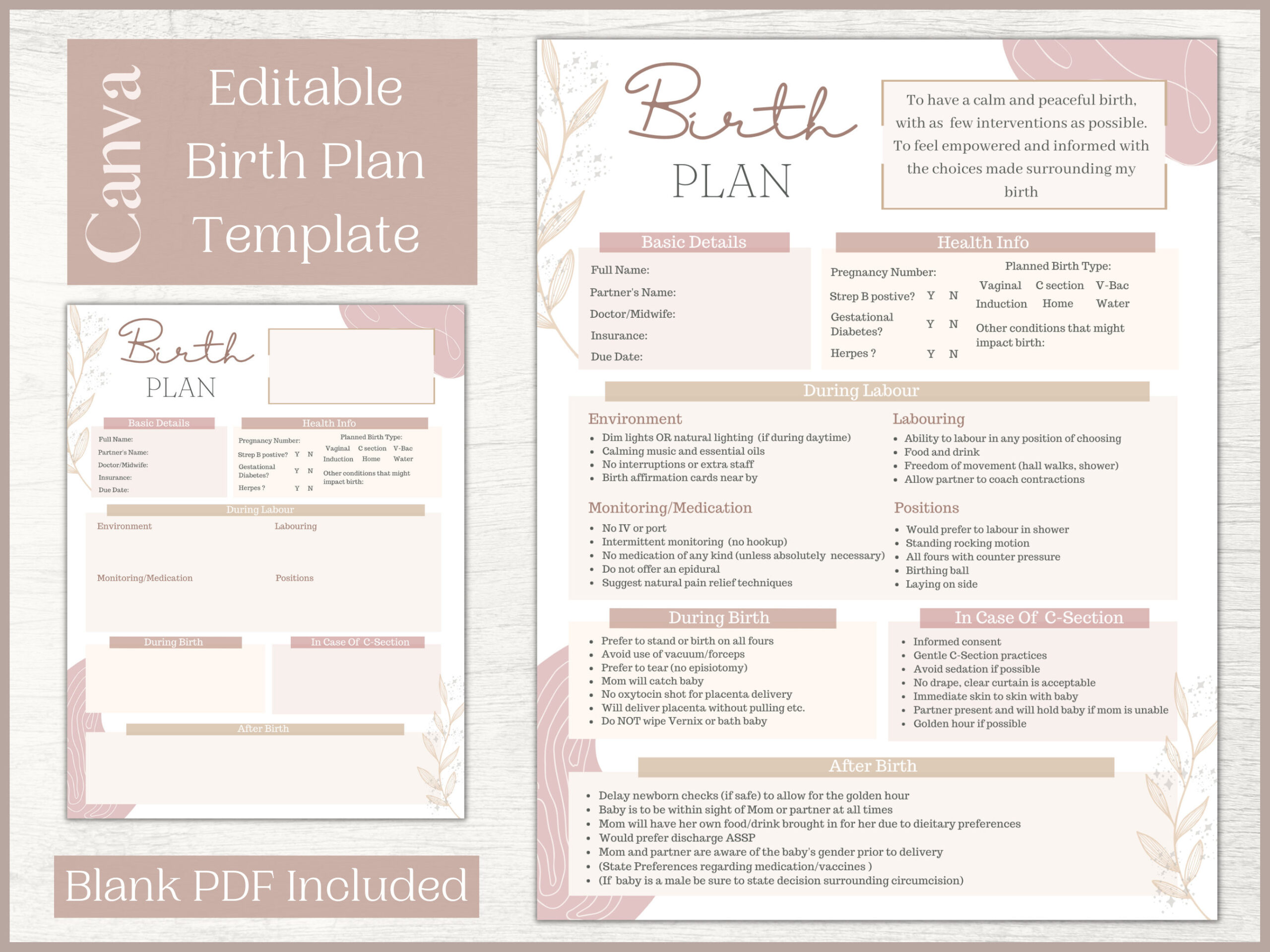 Editable Birth Plan Template Printable Birthing Plan Labour And pertaining to Birth Plan Template Printable