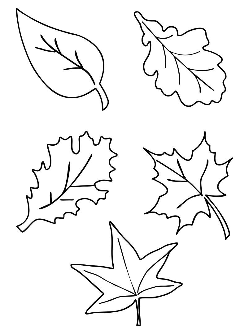 Fall Leaves Templates - 10 Free Pdf Printables | Printablee inside Fall Leaf Template Printable