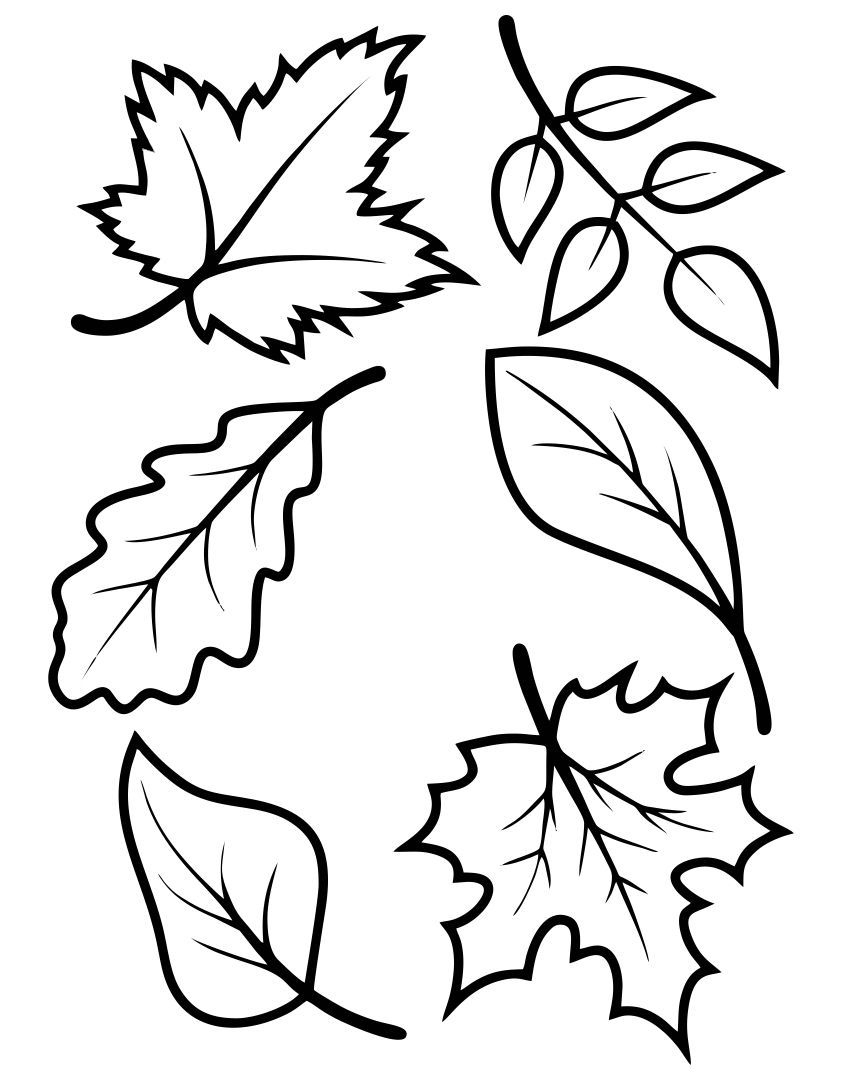 Fall Leaves Templates - 10 Free Pdf Printables | Printablee inside Printable Autumn Leaf Templates