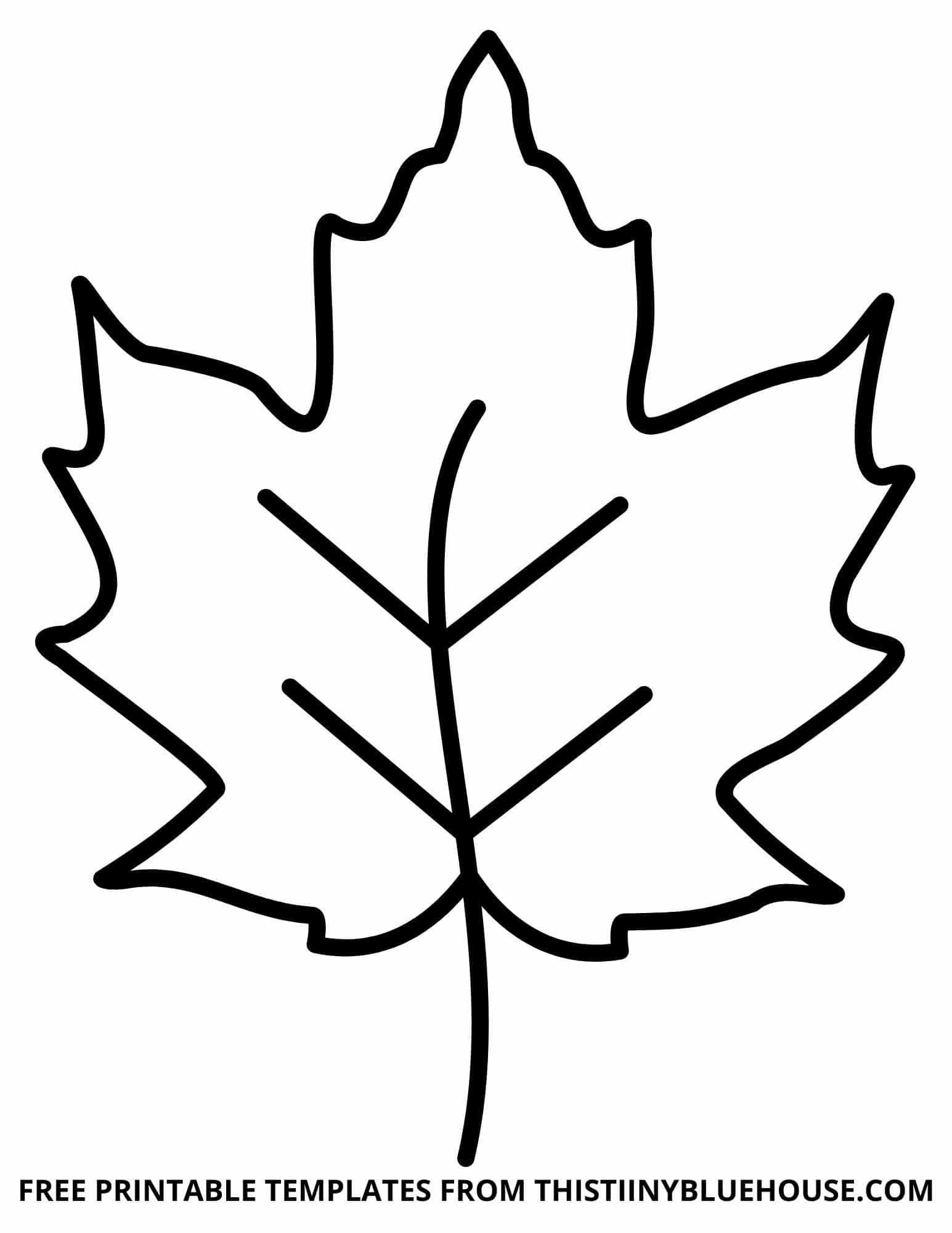 Free Leaf Template Printable (6 Sizes Of Leaf Outlines Small for Free Printable Leaf Template