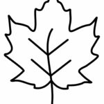 Free Leaf Template Printable (6 Sizes Of Leaf Outlines Small Intended For Leaf Template Free Printable