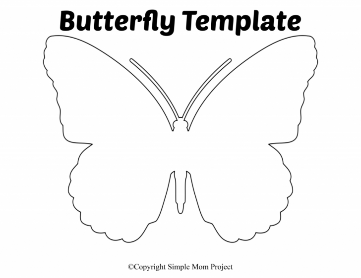 Butterfly Printable Template Free