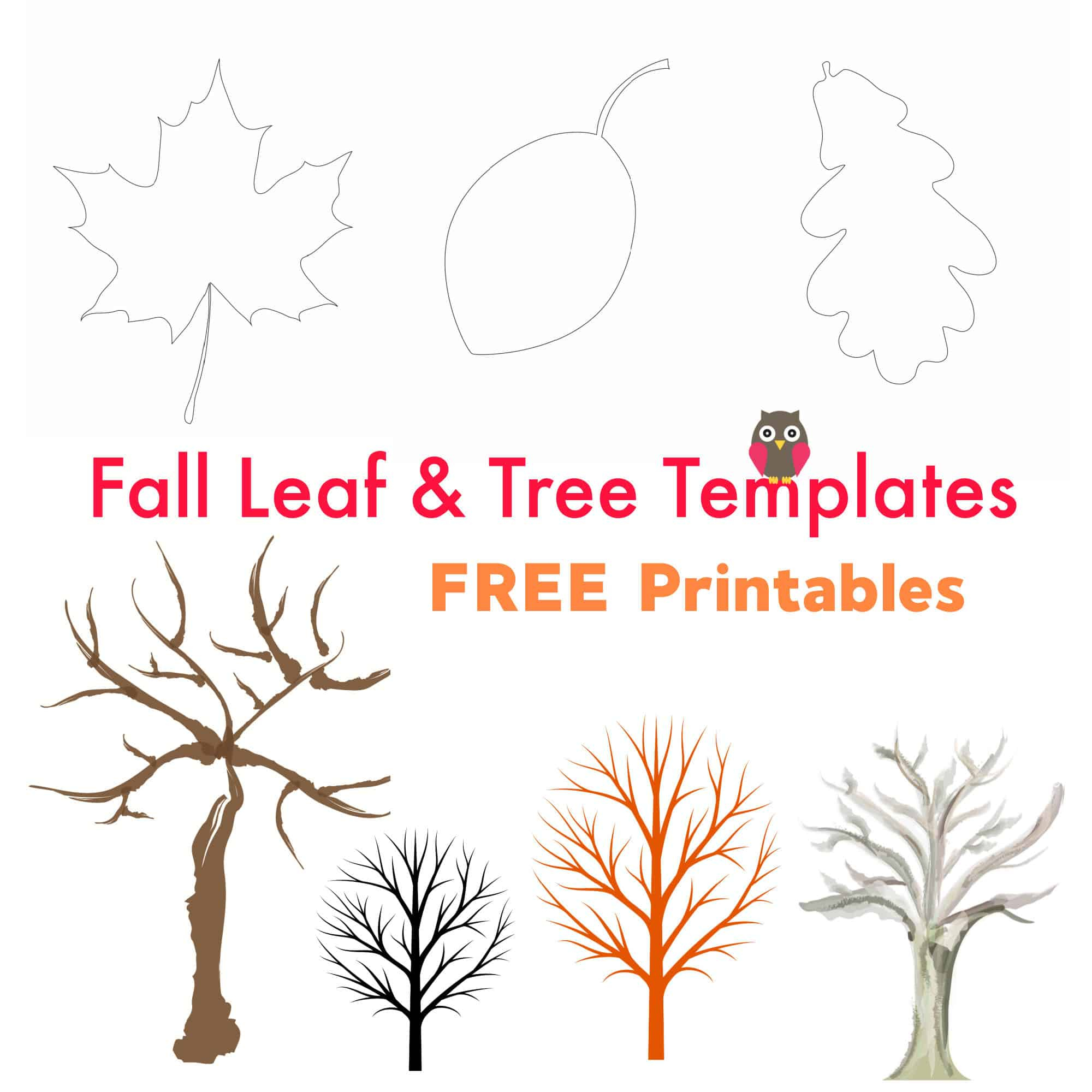 Free Printable Fall Leaf And Tree Templates - Emma Owl intended for Free Printable Fall Templates