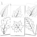 Free Printable Large Leaf Templates, Stencils And Patterns Pertaining To Free Printable Autumn Leaves Template