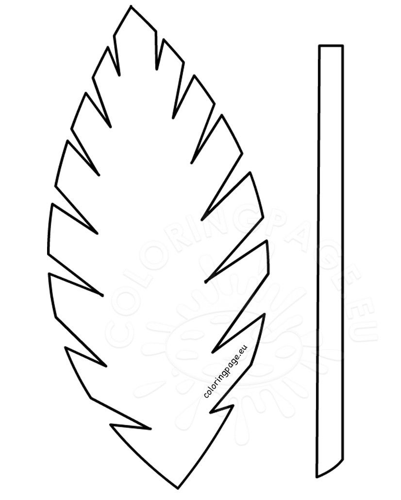 Palm Leaf Template Printable Vastuuonminun Sketch Coloring Page pertaining to Palm Leaf Template Printable