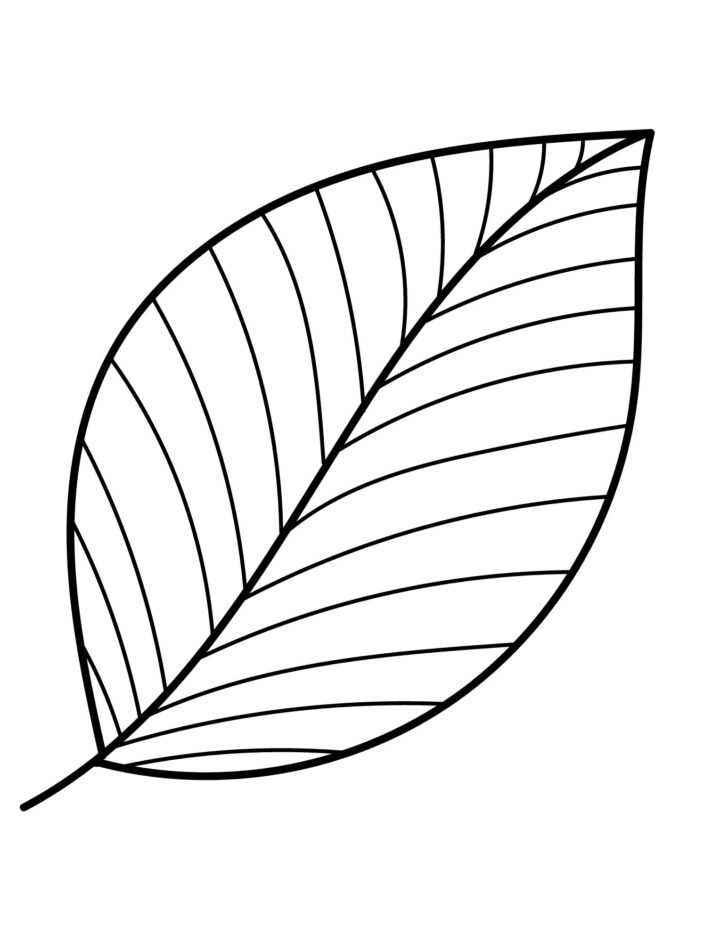 Free Printable Leaf Template