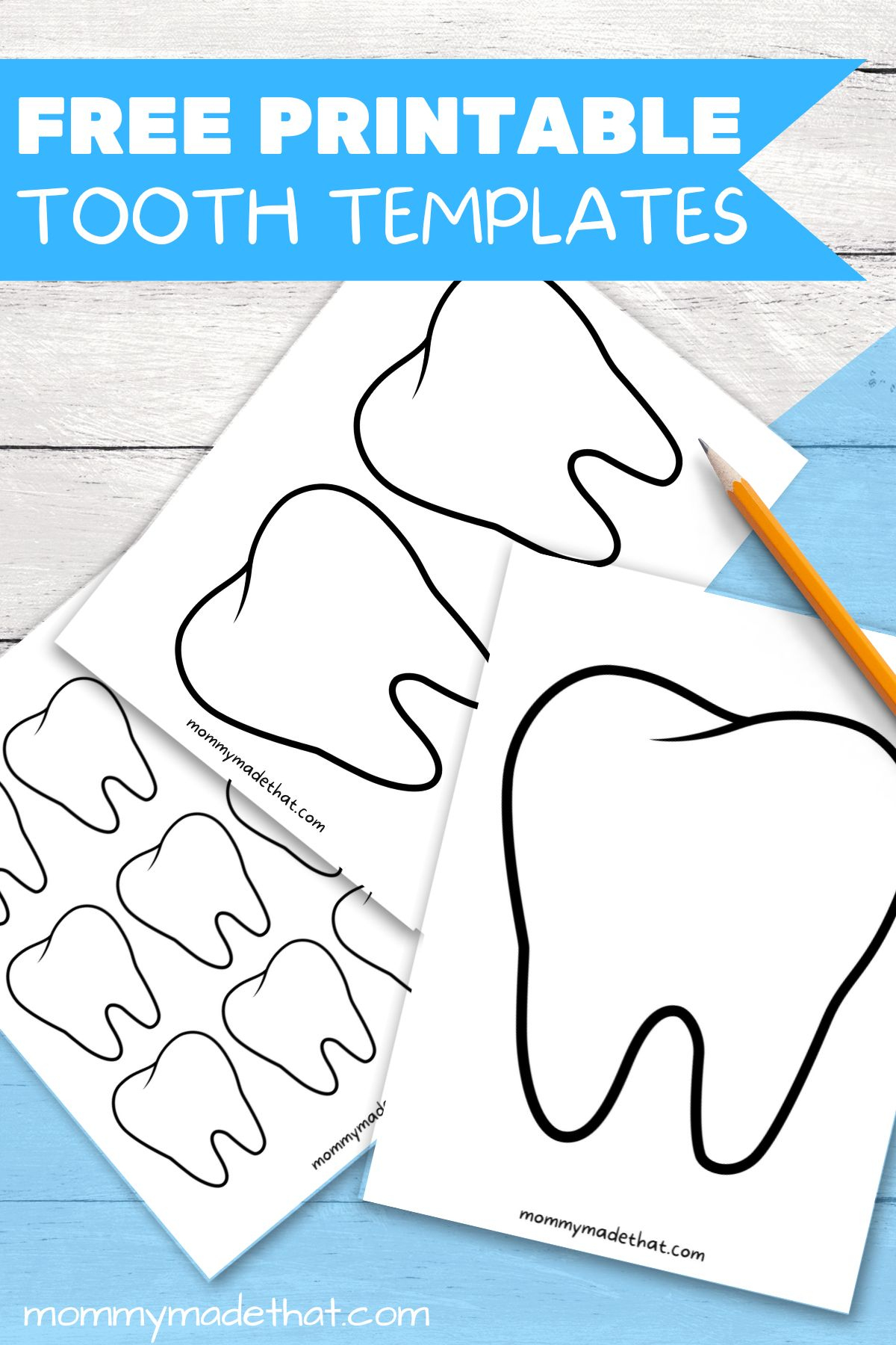 Tooth Templates (Free Printable Outlines!) with regard to Free Printable Tooth Template Printable