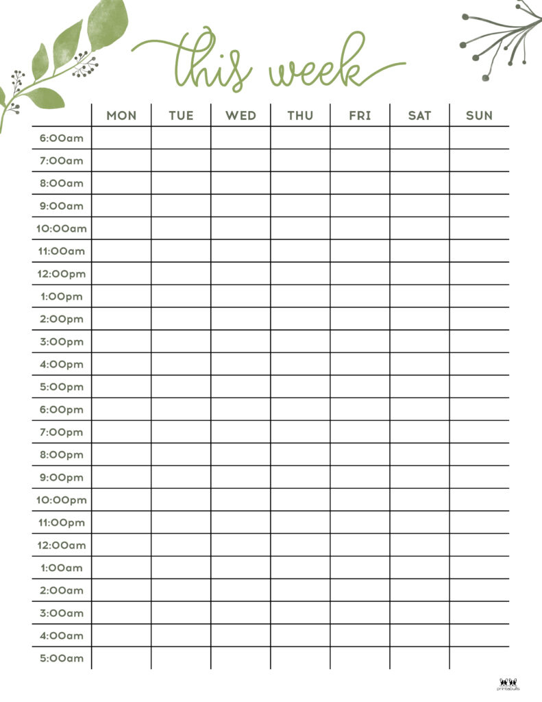 Hourly Planners - 20 Free Printables | Printabulls intended for Hourly Schedule Template Free Printable