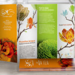 12 Things To Consider For An Effective Brochure Design Regarding Creative Brochure Cover Designs Feather Template