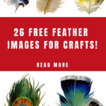 27 Beautiful Feather Clipart!   The Graphics Fairy Inside Free Collage Feather Template