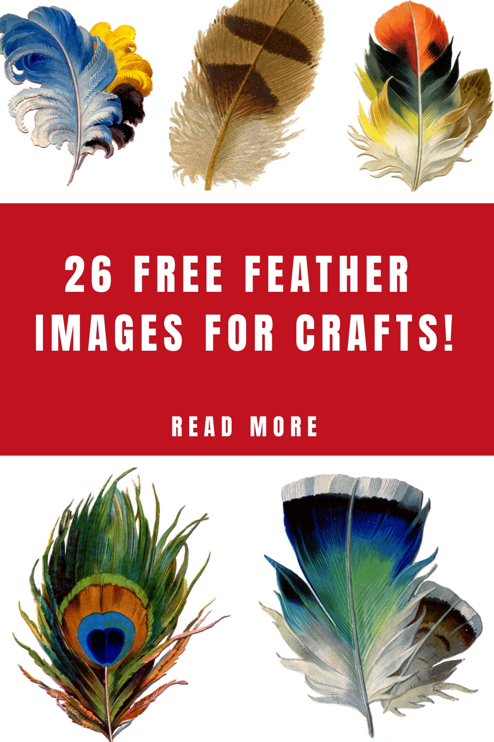 27 Beautiful Feather Clipart! - The Graphics Fairy inside Free Collage Feather Template