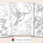 50 Bird Coloring Pages (Free Pdf Printables) In Feather And Birds Coloring Template Free Printable
