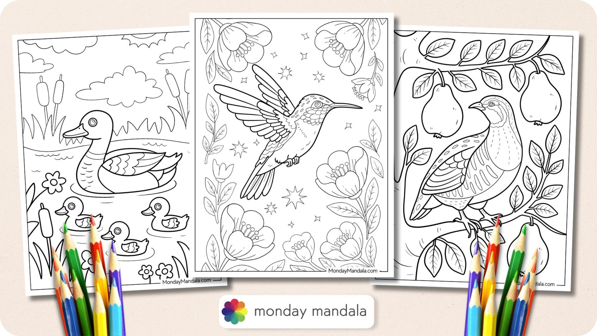 50 Bird Coloring Pages (Free Pdf Printables) in Feather and Birds Coloring Template Free Printable