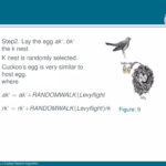 Beamer Presentation Template   Feather Theme | Pdf In Beamer Presentation Template Feather Theme