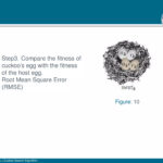 Beamer Presentation Template   Feather Theme | Pdf Intended For Beamer Presentation Template Feather Theme