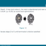 Beamer Presentation Template   Feather Theme | Pdf Within Beamer Presentation Template Feather Theme