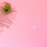 Beautiful Feather From A Peacock'S Tail On An Isolated Pastel Pertaining To Feather Background Template