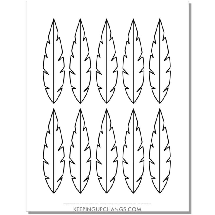 Cut Out Outline Feather Template