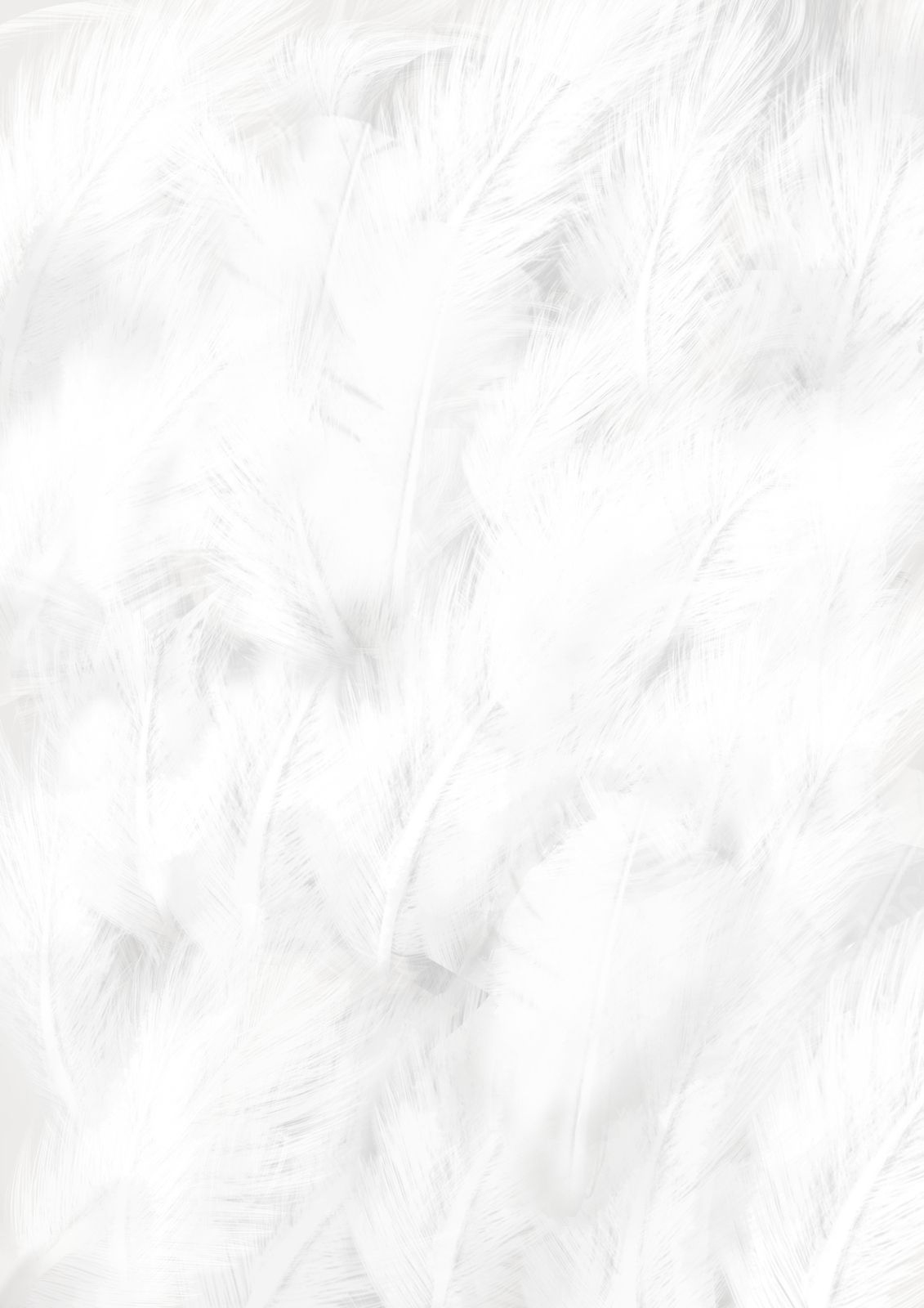 Bird Feathers Page Border And Printable Background In Word with regard to Bird Feather Word Template