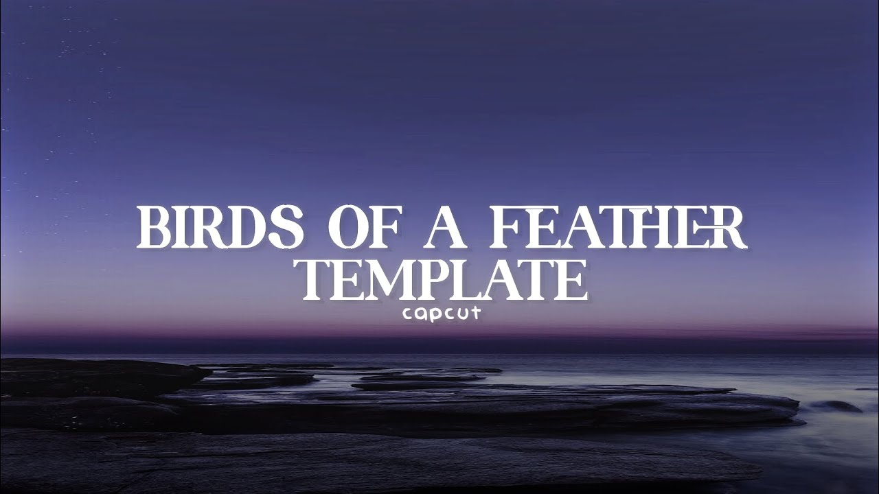 Birds Of A Feather Capcut Templates | Capcut Templates - Youtube within Birds of a Feather Capcut Template