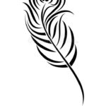 Black And White Feather Drawing | Peacock Feather Stock With Regard To Feather Template Black And White