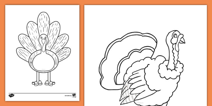Blank Turkey Template