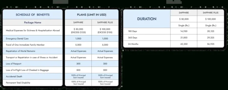 Travel Insurance For Turkey From Pakistan Template
