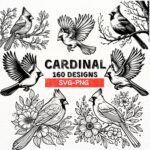 Cardinal Bird Svg Bundle | 160 Cardinal Designs | Png Files For Cricut &  Silhouette | Bird Clipart | Floral Cardinal | Instant Download Pertaining To Cardinal Feather Template