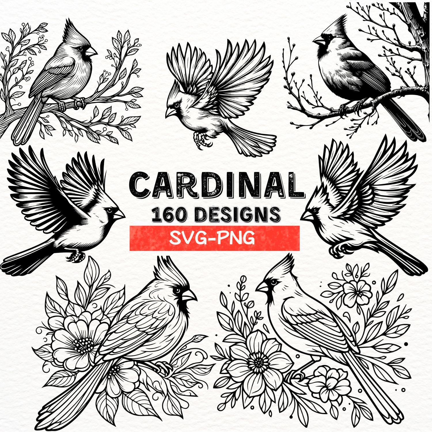 Cardinal Bird Svg Bundle | 160 Cardinal Designs | Png Files For Cricut &amp;amp;  Silhouette | Bird Clipart | Floral Cardinal | Instant Download pertaining to Cardinal Feather Template