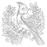 Cardinal Coloring Page | Coloring Pages Mimi Panda Inside Cardinal Feather Template Page Background