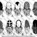 Chicken/ Bird Feather Decal   Laced, Barred, Mottled, Patterned Intended For Chicken Feather Template