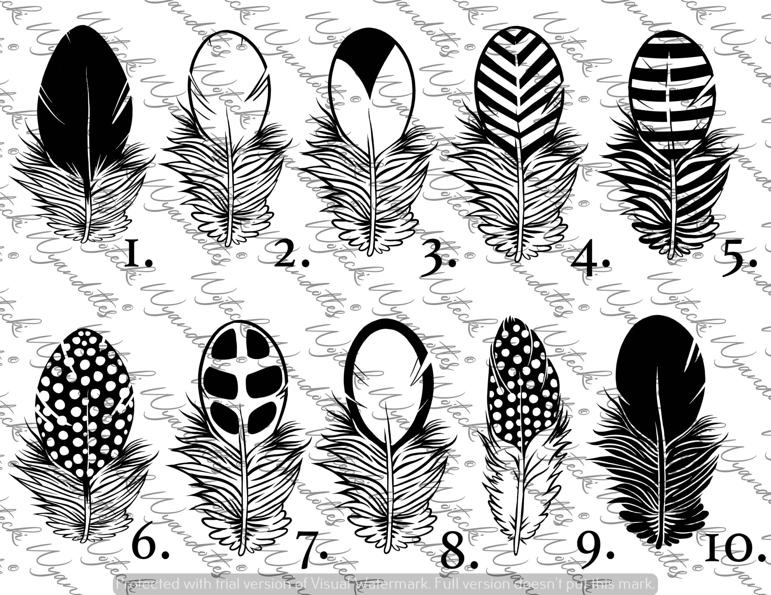 Chicken/ Bird Feather Decal - Laced, Barred, Mottled, Patterned intended for Chicken Feather Template
