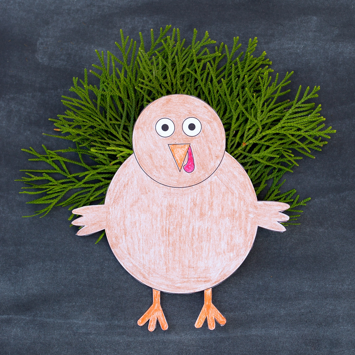 Design Your Own Thanksgiving Turkey Craft For Kids throughout Design a Turkey Template