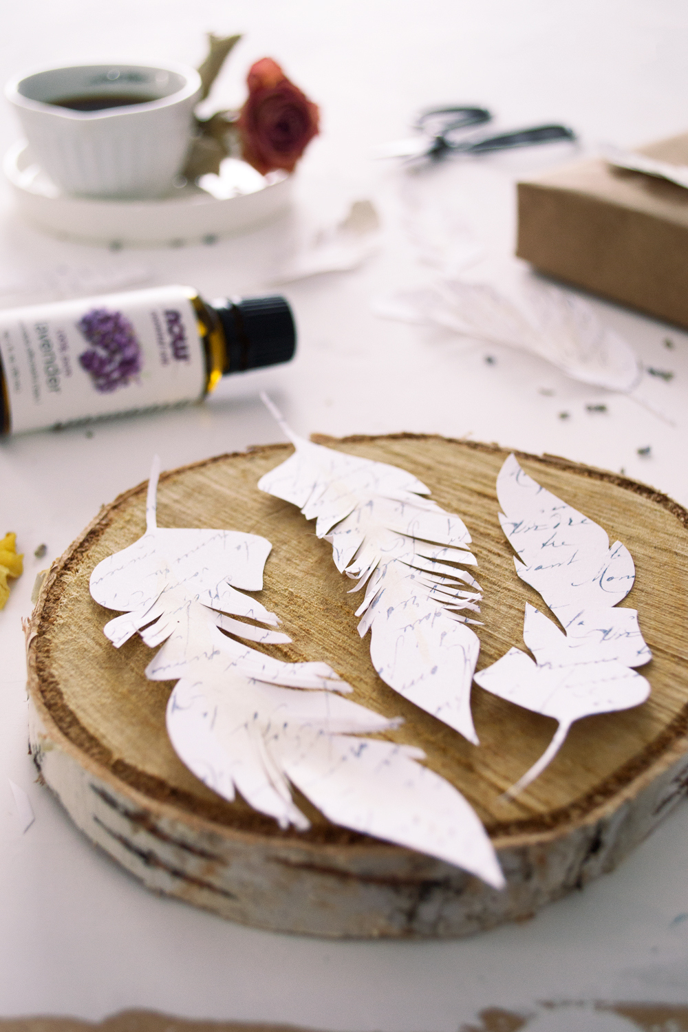 Diy French Script Paper Feathers Project + Free Printable for Free Collage Feather Template