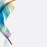 Download A Colorful Feather Background With A White Background With Regard To Feather Background Template