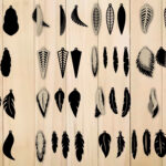 Earrings Svg, Feather Earrings , Earrings Template Throughout Feather Earrings Template