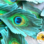 Edible Peacock Feathers In Blue Peacock Feather Template
