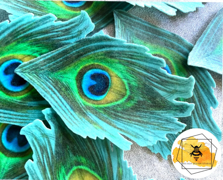 Blue Peacock Feather Template