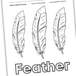Feather Coloring Pages   Nature Inspired Learning For Hawk Feather Template Printable