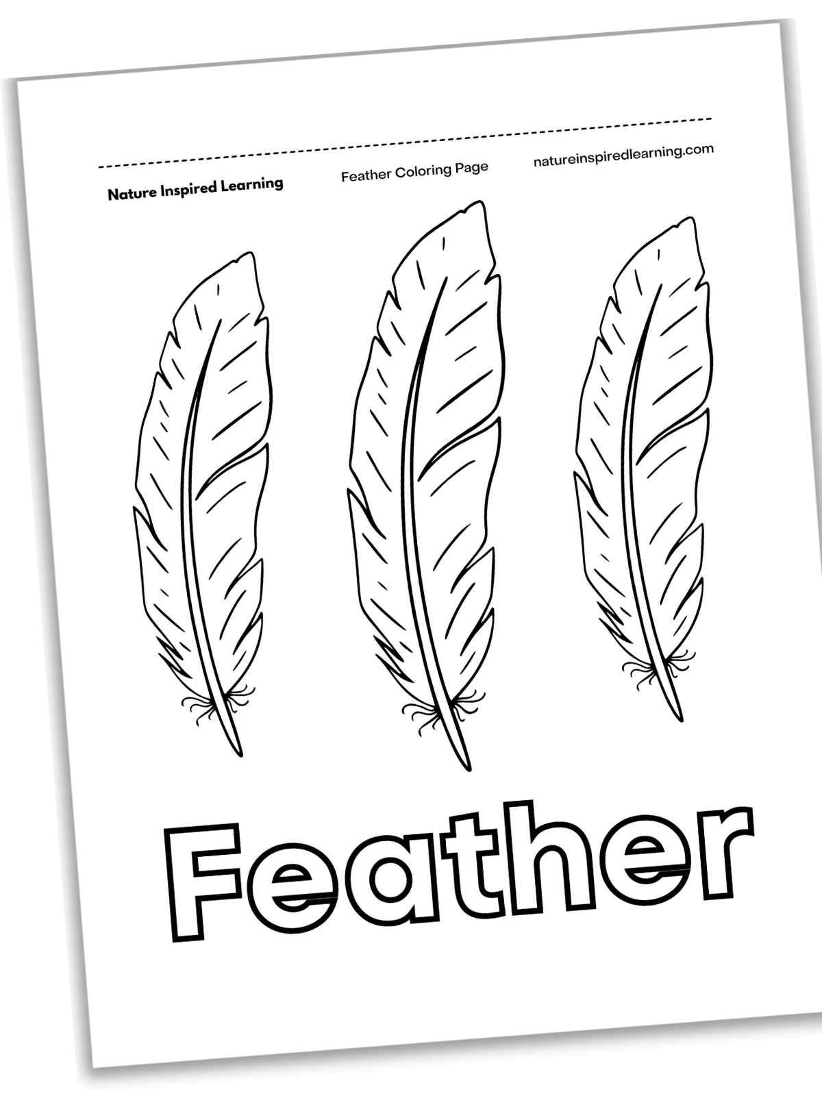 Feather Coloring Pages - Nature Inspired Learning for Hawk Feather Template Printable