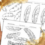 Feather Coloring Pages   Nature Inspired Learning In Bird Feather Template