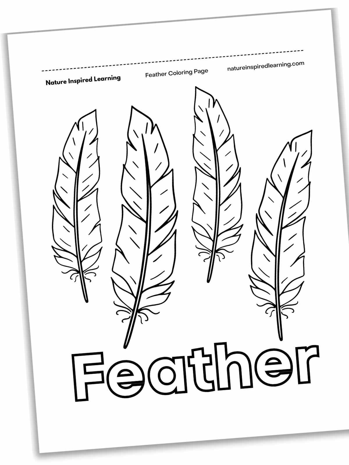 Feather Coloring Pages - Nature Inspired Learning throughout Coloring Free Printable Feather Template