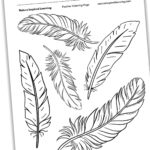 Feather Coloring Pages   Nature Inspired Learning With Regard To Feather Coloring Template Free Printable