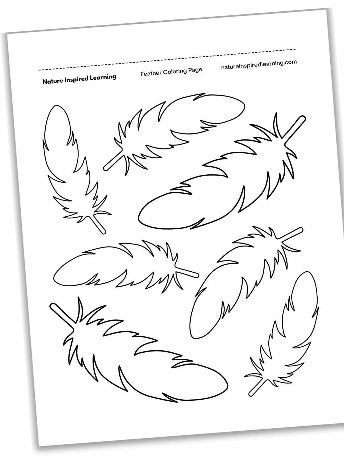 Feather Coloring Pages - Nature Inspired Learning with regard to Simple Feather Template