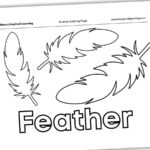 Feather Coloring Pages   Nature Inspired Learning With Regard To Small Feather Template