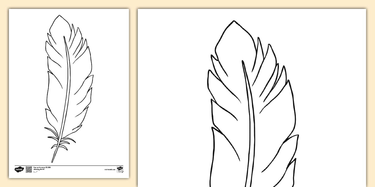 Feather Colouring Page | Colouring Sheets throughout Template of a Feather