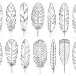 Feather Hand Drawn Line Style Set. Quill Collection Of Simple With Regard To Doodle Feather Template